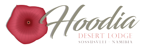 Accommodation in Sossusvlei Nambia - Hoodia Desert Lodge